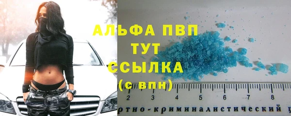 шишки Алексин