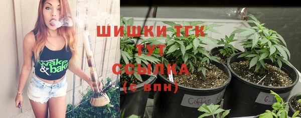 шишки Алексин