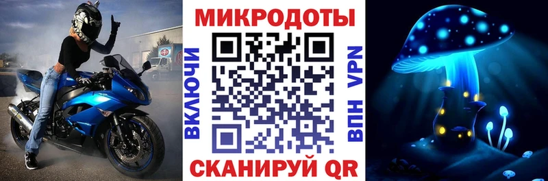 Псилоцибиновые грибы Psilocybine cubensis  Жиздра 