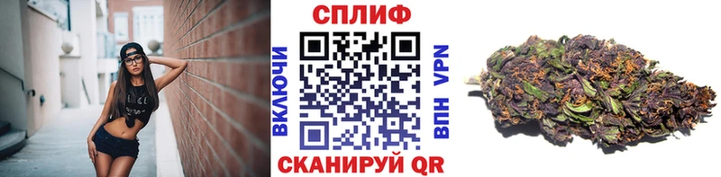 Канабис семена  Жиздра 